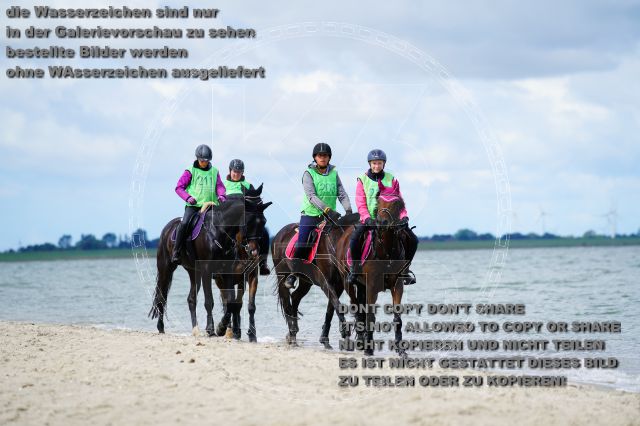 s_K3F05141.JPG